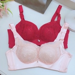 Bra fashion (K-D59) Pakaian dalam wanita busa push up TEBAL