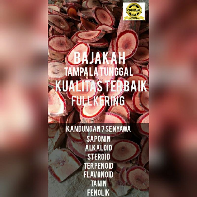Akar Bajakah Tampala Merah original