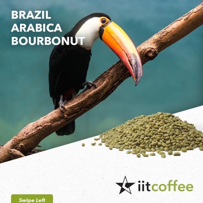 

Arabica Green Beans - Brazil Bourbonut Natural