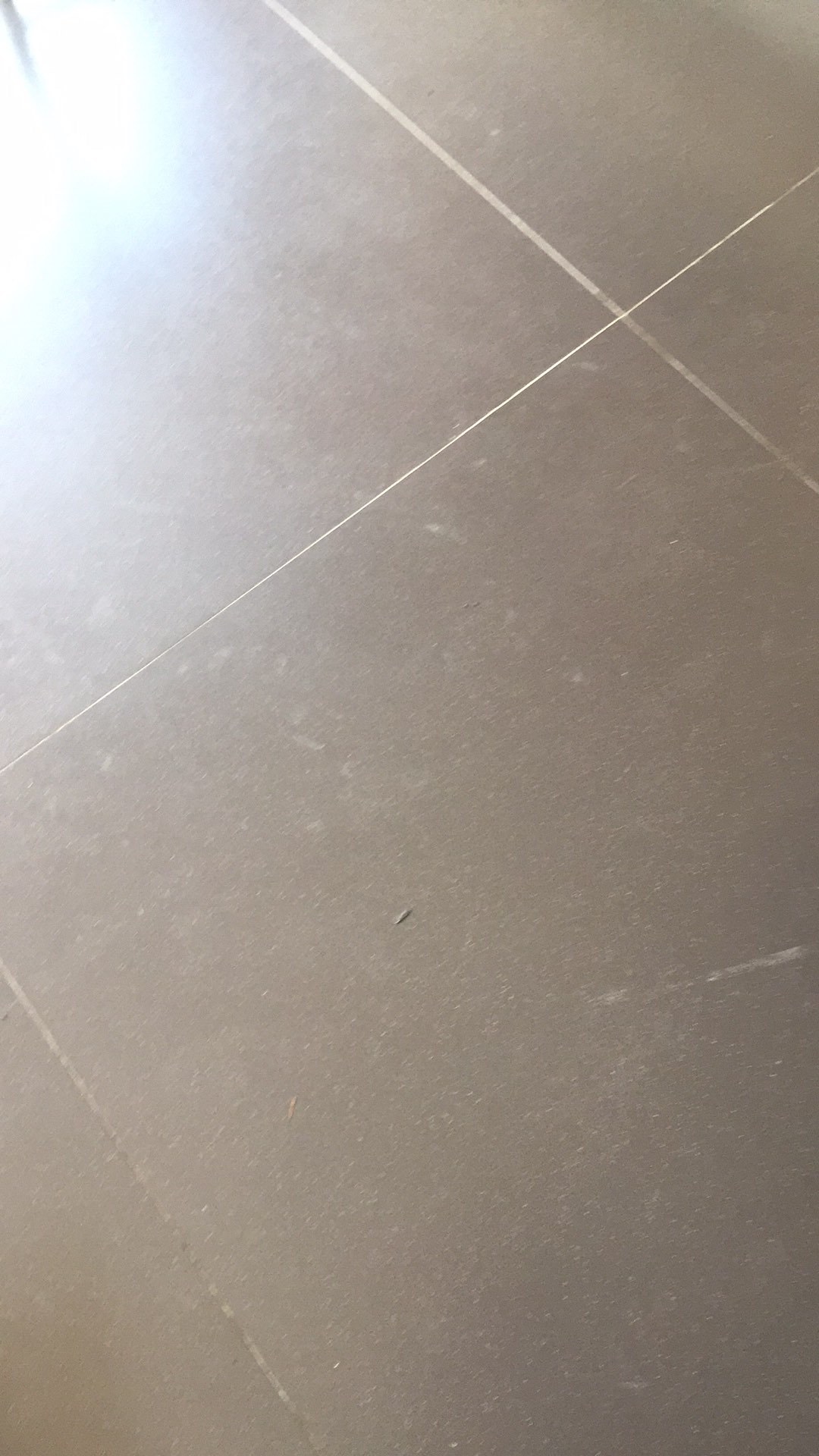 Minyak Wijen Seng Guan Heng Kuda Racing Horse Halal 600ml