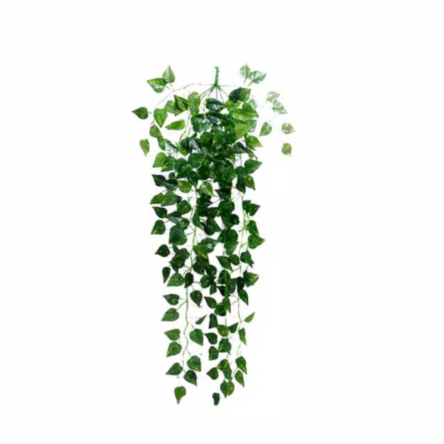 TANAMAN DAUN GANTUNG TANGKAI B8322 DAUN PLASTIK TANAMAN GANTUNG ARTIFICIAL DAUN RAMBAT PLASTIK HOME DECOR