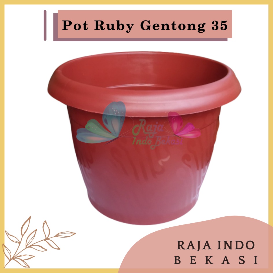 Pot Gentong VINCA 35 Coklat Merah Bata Terraccota Terakota Pot Tanaman Plastik Bunga Jumbo Besar Murah Grosir 40 cm Pot Tulip 45 20 30 Galaxy 25 40-Pot Bunga Putih 35 Strawberry | Pot Tanaman Plastik Besar