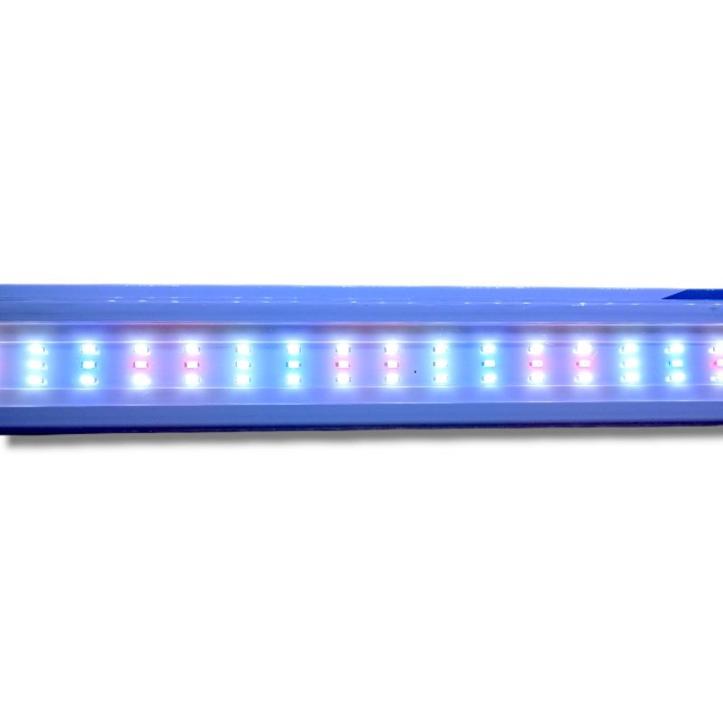 Lampu Aquarium LED RECENT AA PA 1000 3X