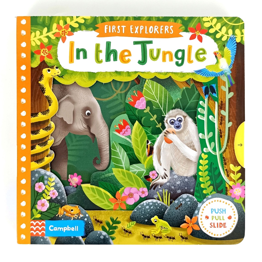Jual First Explorers In The Jungle Campbell Original Push Pull Slide