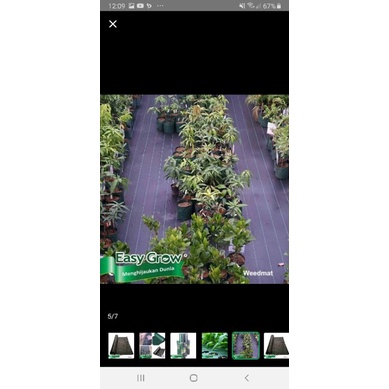 weedmat control eceran lebar 4 m , mulsa weedmat , penutup lapisan tanah