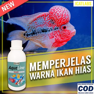 [A3] AQUALINE PAKAN WARNA IKAN IKAN LOUHAN IKAN KOI ARWANA IKAN KOKI AQUARIUM IKAN HIAS IKAN ARWANA