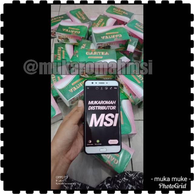 Pelangsing Gartea MSI Original
