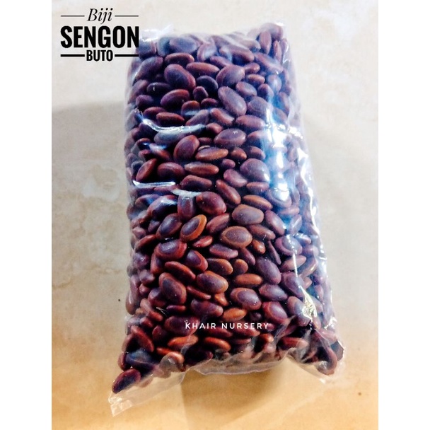 Biji sengon buto 1kg