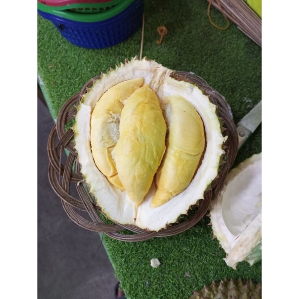 

durian medan