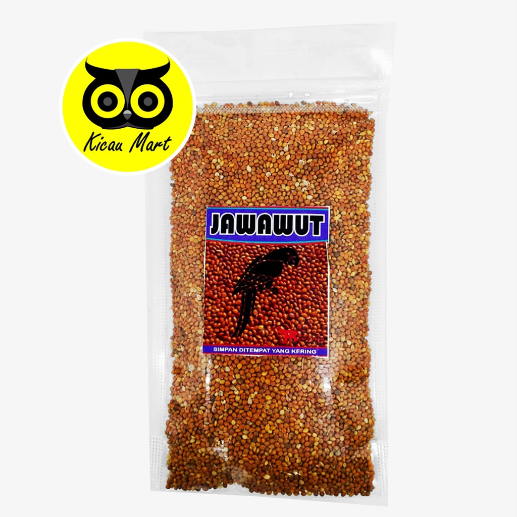 BIJI JEWAWUT BIJI JAWAK KUNYIT JUWAWUT SEKOI FOXTAIL MILLET MILET JAWAWUT PAKAN BURUNG KENARI JAWARF