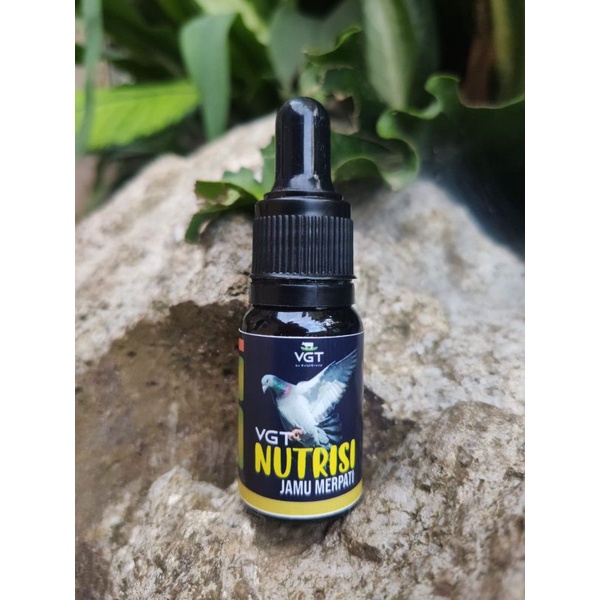 (BISA COD) PRO 1000 VITAMIN BURUNG MERPATI BURUNG DARA KOLONG DAN BALAP