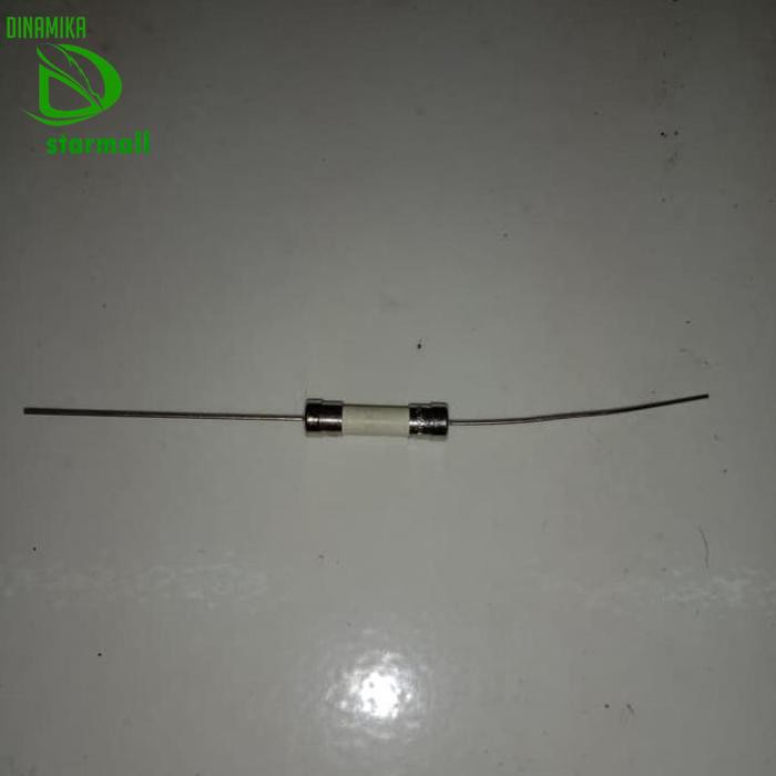 Fuse Keramik 2A 2 A 250Va 20Mm X 5Mm Ceramic Fuse Pcmelebik54 Berkualitas