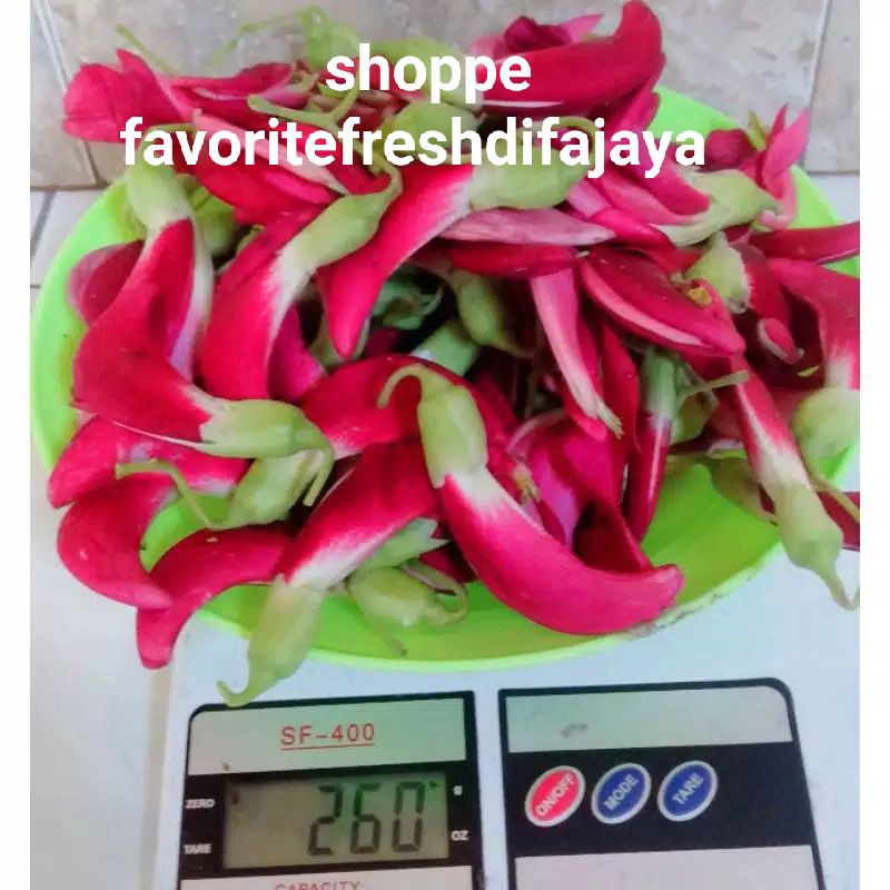 

Bungga Turi merah fresh langsug petik