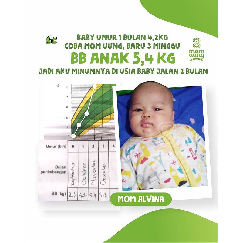 BPOM HALAL HERBAL Asi Booster MOM UUNG Pelancar Asi / 60 30 Kapsul kelorcap kelor kapsul booster asi