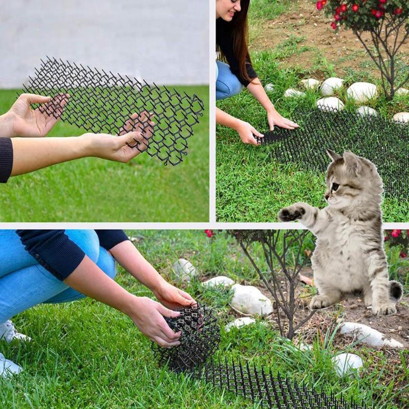 Anti cat, Cat repelent Pengusir Kucing Anti Kucing Pelindung Taman