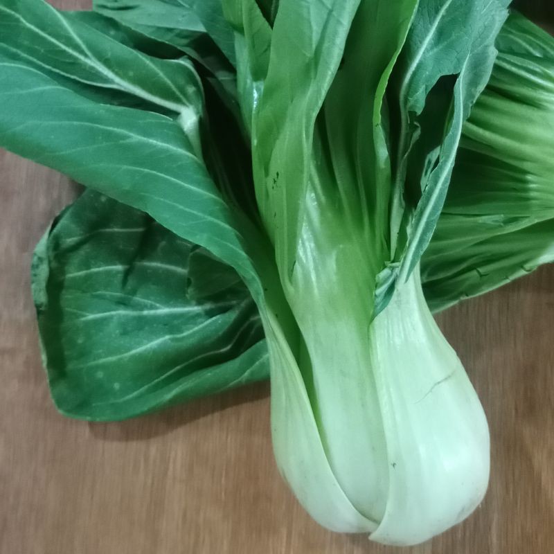 Sayur Pakcoy Segar Fresh 500 gram / Phak Choy / Pak Coy / Phakchoy