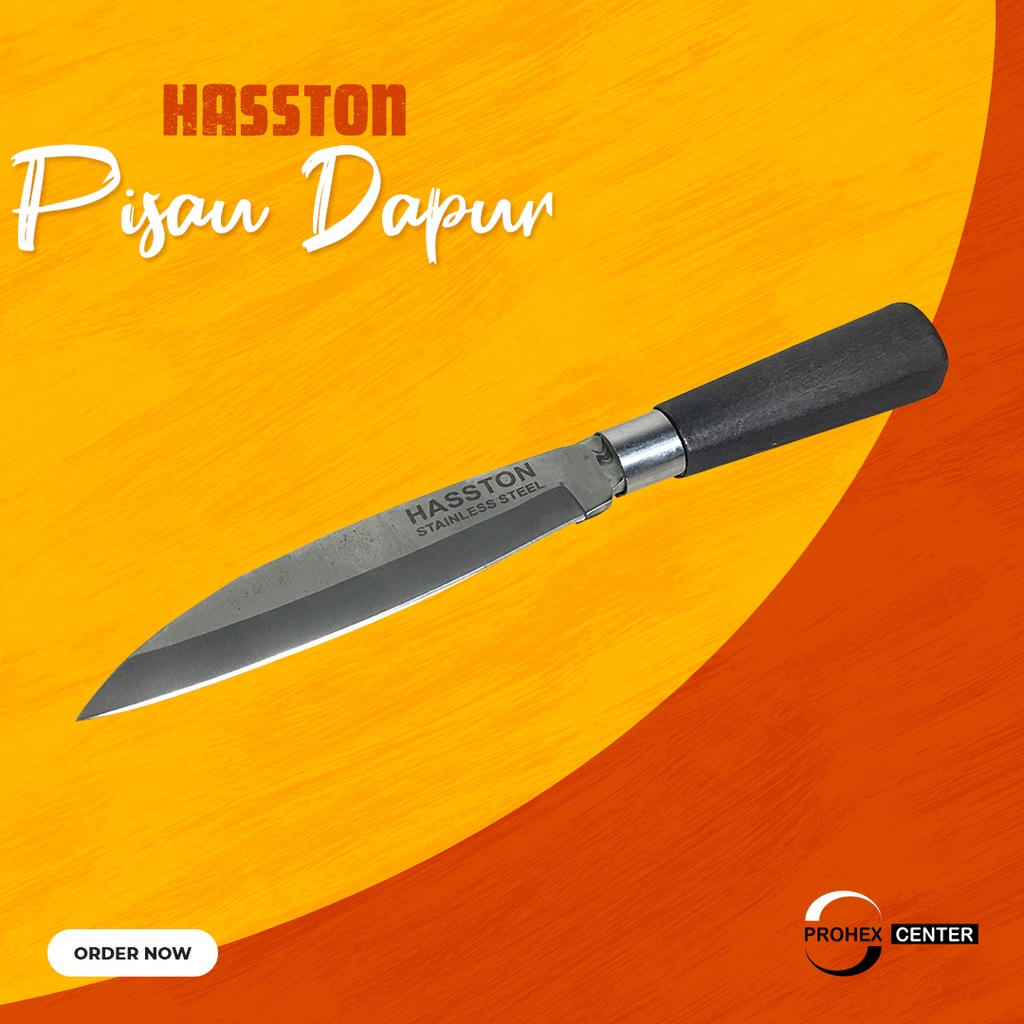 Pisau Dapur Hasston 3020-101 Pisau Buah Daging Stainles Steel