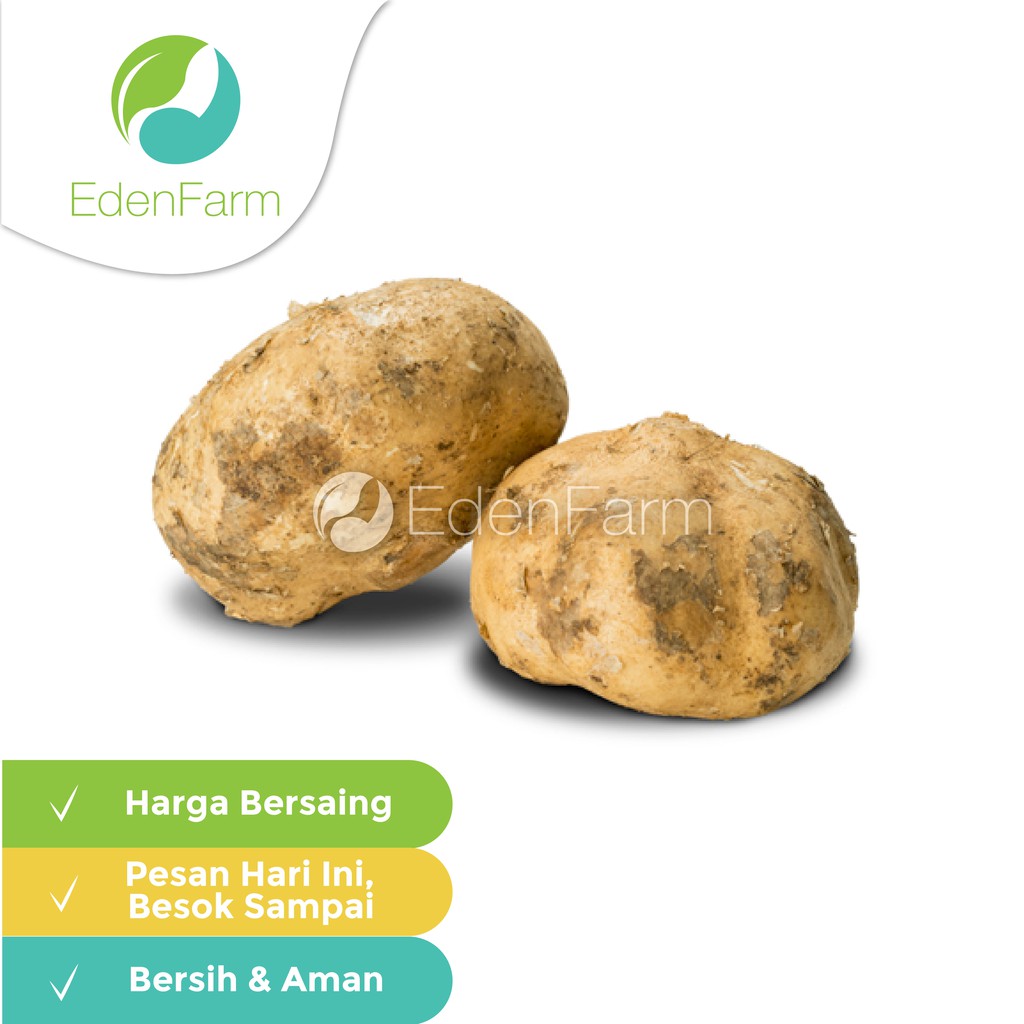 

Bengkoang 250 gr Eden Farm