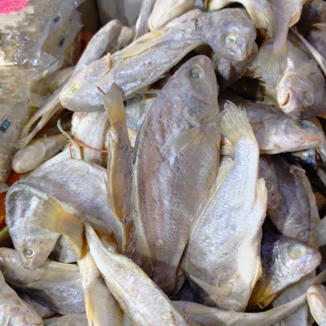 

Ikan asin kepala batu tapak 250g