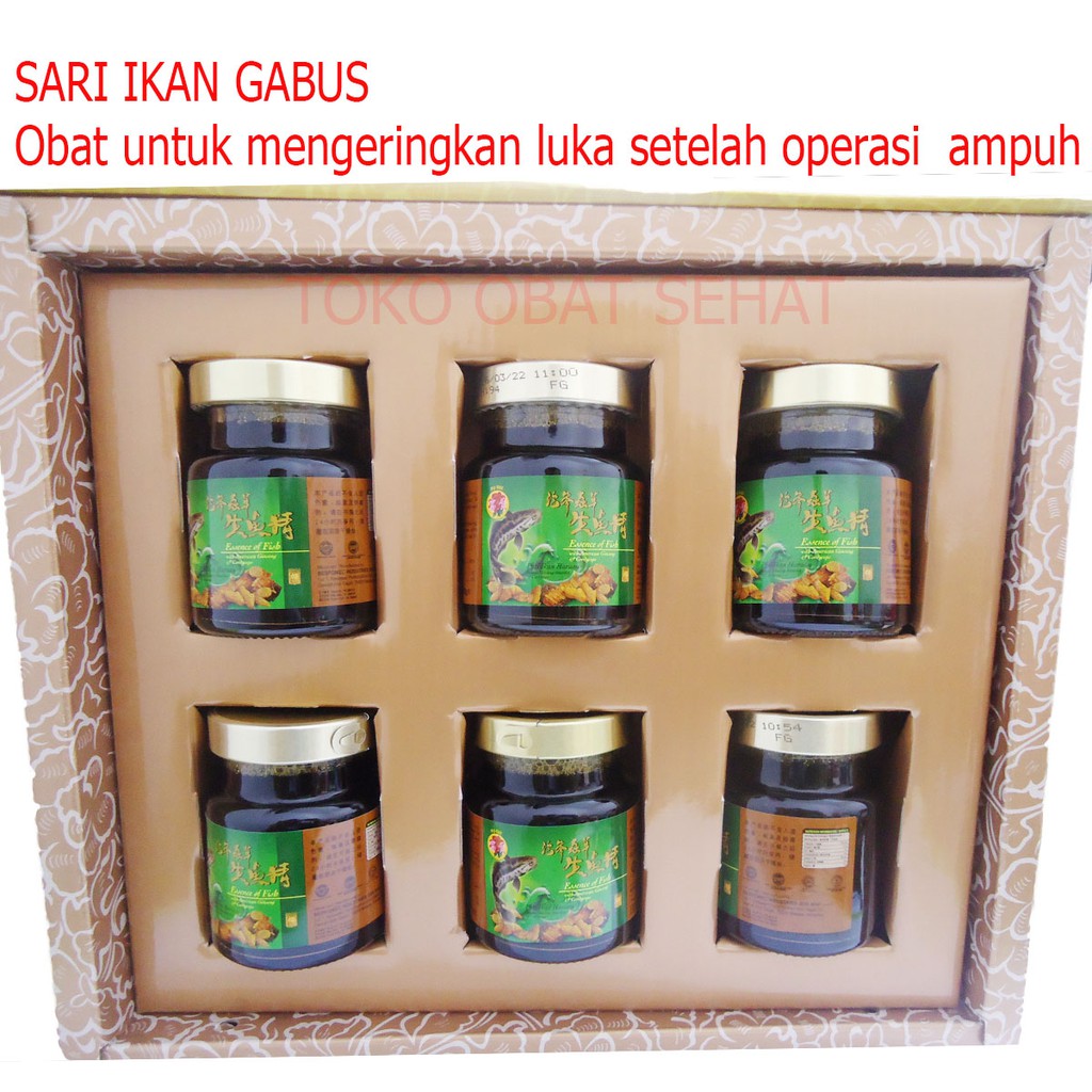 FU GUI - SARI IKAN GABUS obat luka setelah operasi - stamina herbal