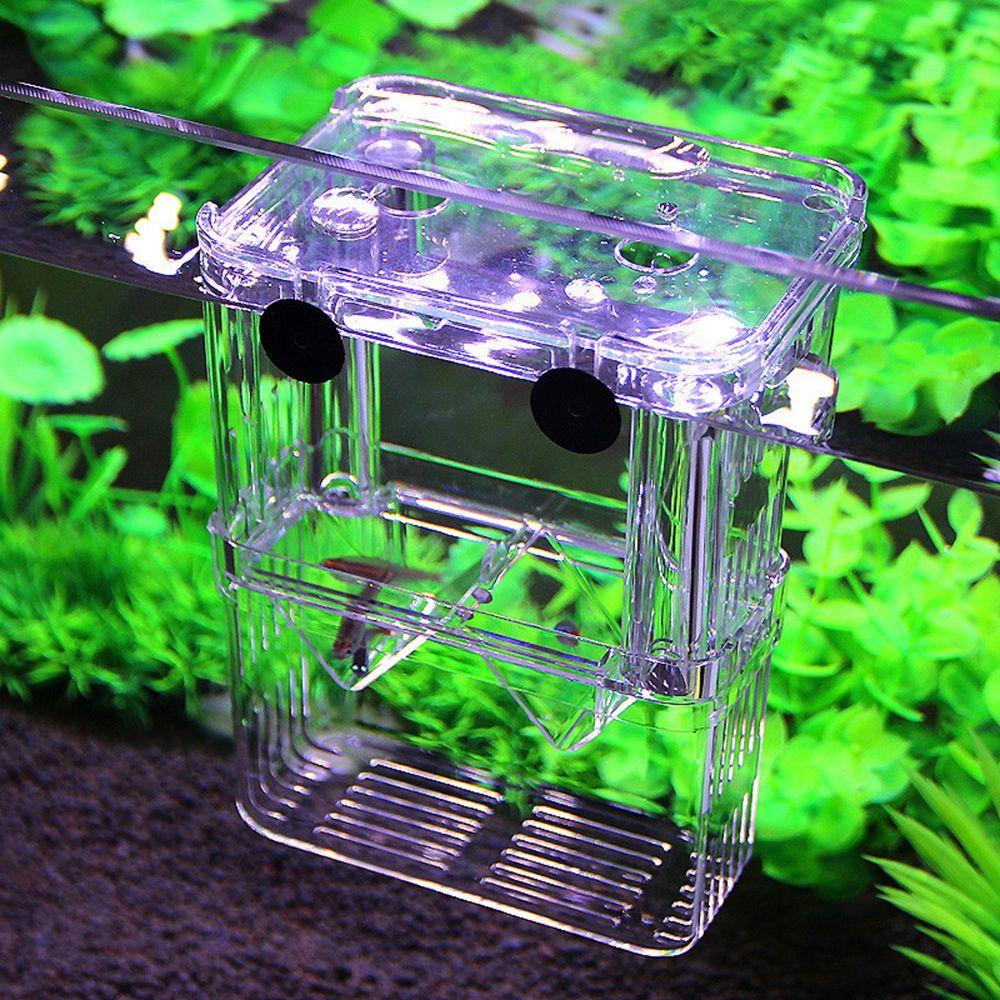 REBUY Rebuy Hatchery Multifungsi Akrilik Dengan Suction Cup Aquarium Isolasi Ikan Untuk Bayi Fishes Guppy Breastfeeding Box