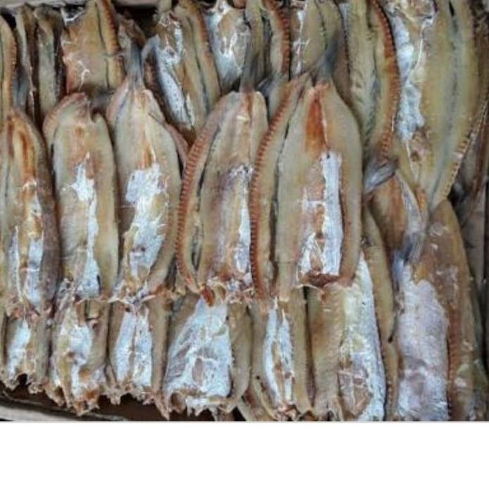 

『3.3 SALE』 ikan asin bloso 1kg paling murah | TERPOPULER | VIRAL | TIKTOK
