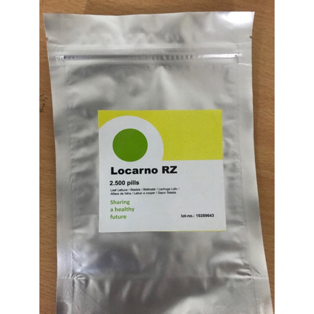 Benih Locarno RZ Green Lollo Lettuce Locarno Rijk Zwaan - 2500 pills