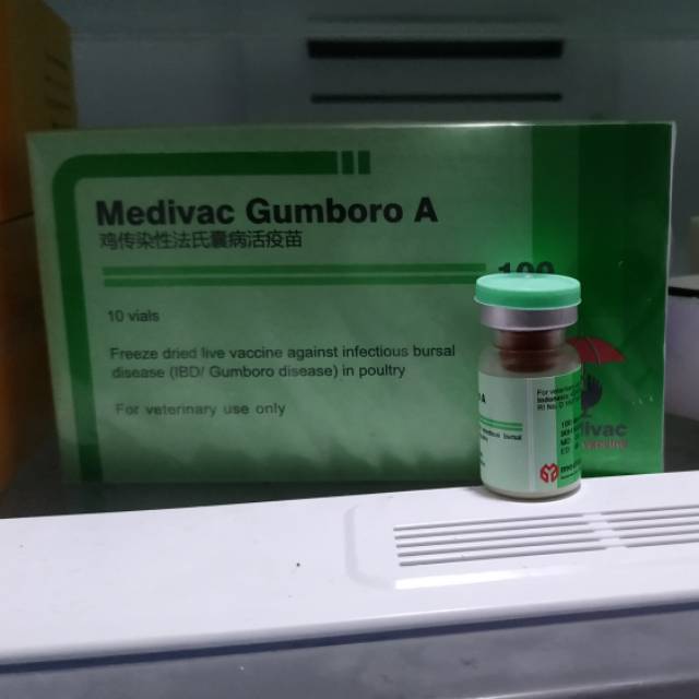 Vaksin Gumboro A 1000 ekor