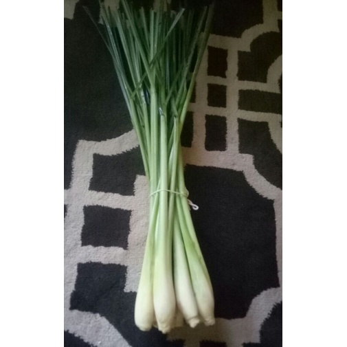 

SERAI/SEREH BESAR & SEGAR 8.000/500gram