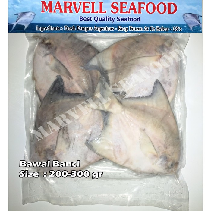 

IKAN BAWAL BANCI FRESH/FROZEN SIZE 200/300gr 4pcs