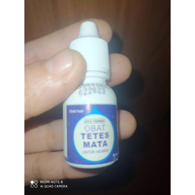 Obat tetes mata hamster gerbil marmut kelinci