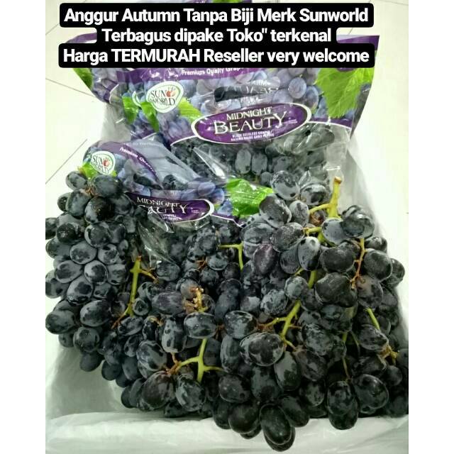 Jual My Fruit Makassar Anggur Hitam Seedless Sweet Saphire Buah Buahan 500 G Di Seller My Fruit Makassar Official Store Kota Makassar Sulawesi Selatan Blibli