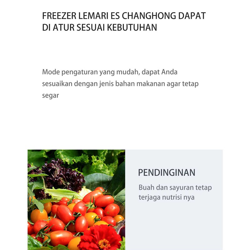 Changhong Chest Freezer CBD680 Kapasitas 600 Liter  (Fast Freezing) (Design Look Minimalis) ( Big Capacity) (Voltase Yang Stabil) (Perlindungan Tanpa Listrik) (Perlindungan Tanpa Listrik) (Hemat Listrik/Low Watt) (Voltase Yang Stabil)