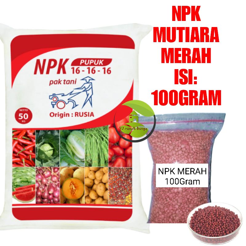 Pupuk perangsang bunga dan buah NPK Mutiara Merah 100Gram