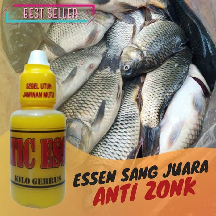 Essen Umpan Pancing Ikan Mas Kilo Gebrus | Segala Medan