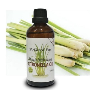 Essential Oil/Diffuser Oil/Citronella/Minyak Atsiri/Sereh/Serai Murni 100 ml