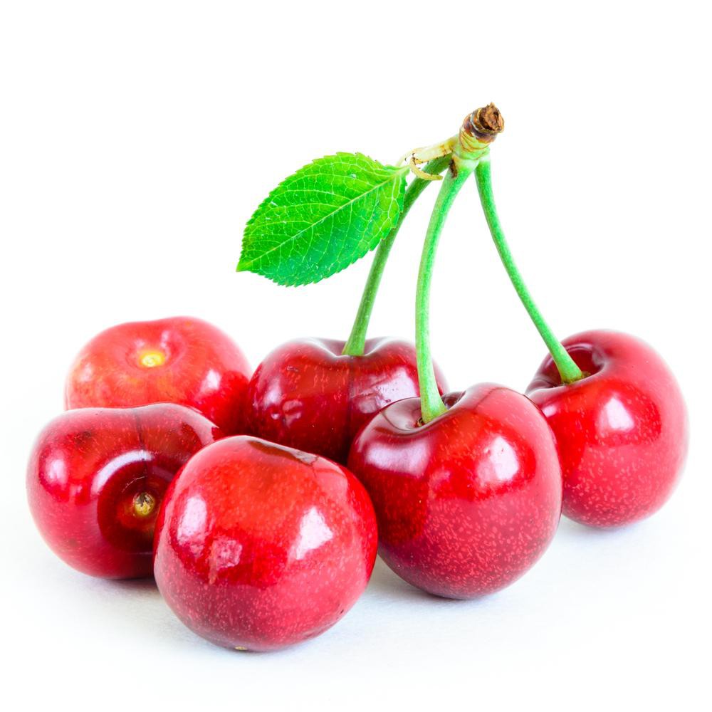 Benih Bibit Biji - Buah Red Sweet Cherry (Prunus cerasus) Seeds - IMPORT