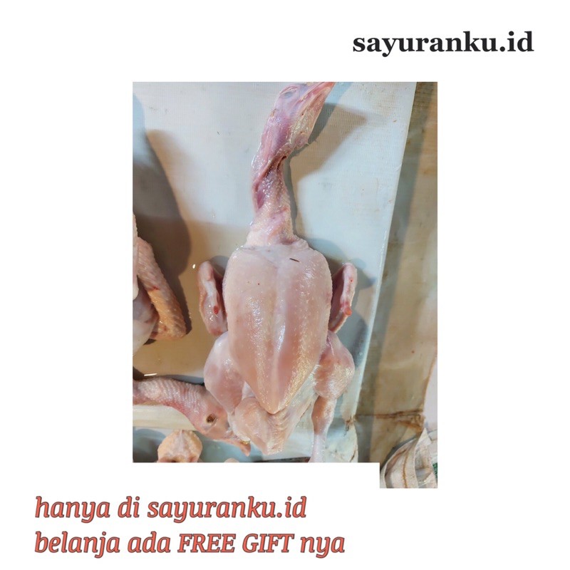 

ayam negeri utuh per ekor + ati ampela+kepala+ceker ayam / ayam negri 1 ekor