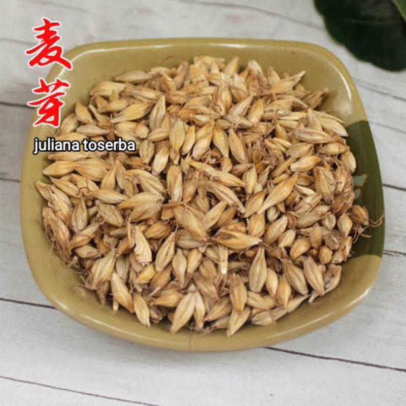 

Hordeum Vuigare Malt 麥芽餅 Mai Ya Phing 100 gram