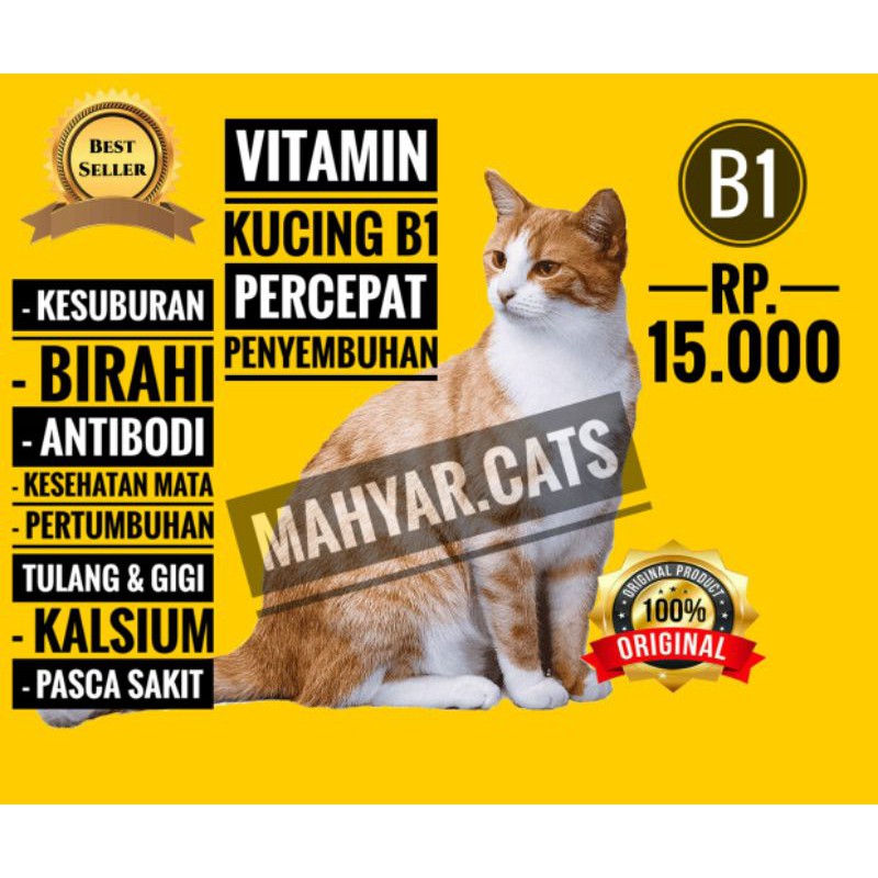 Vitamin kucing B1 [ suntik ] mempercepat penyembuhan, percepat birahi, imun booster | Vitamin kucing