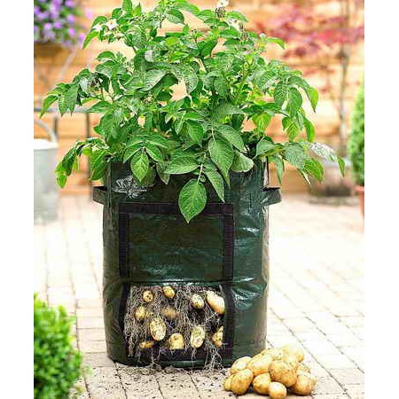 Umbi Planter Ukuran 48 Liter