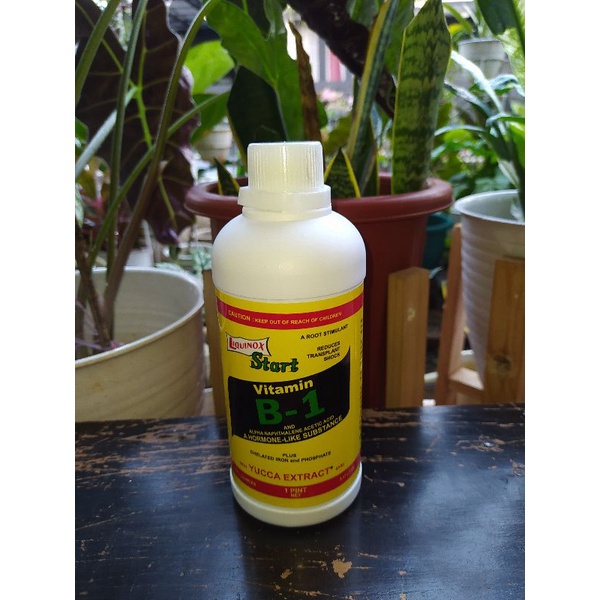 Vitamin B1 Tanaman Liquinox 470 ml