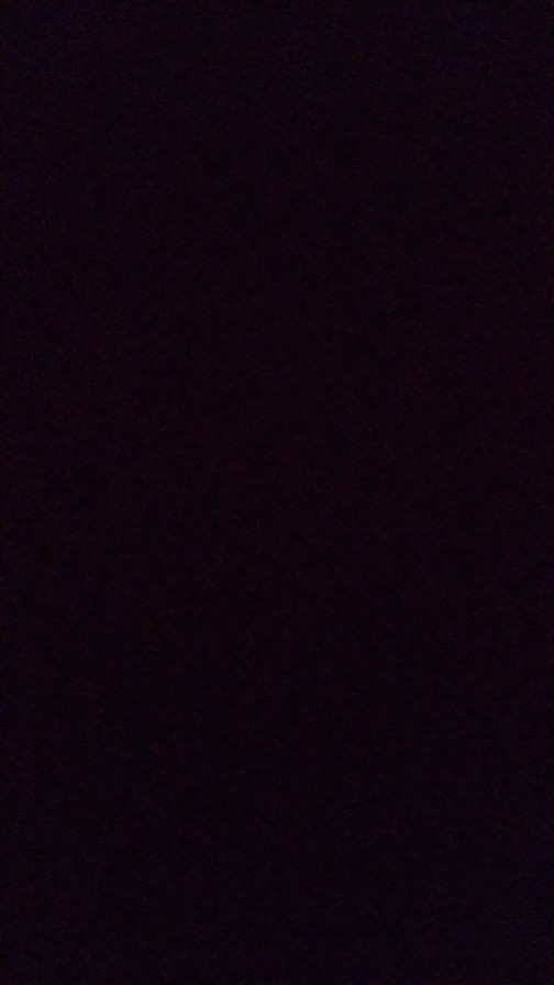 Best Seller Sapu Lidi Kecil