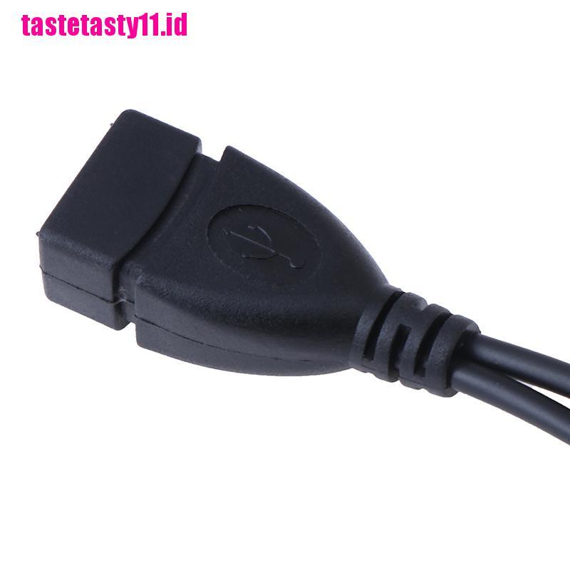 2 In 1 adapter power charging otg Micro usb male to female to usb 2.0