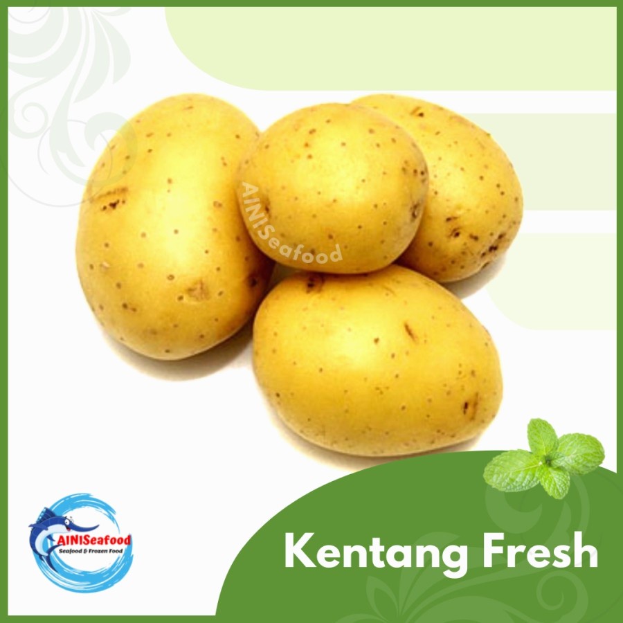 

Sayuran Kentang Segar Fresh Potato Vegetable Online Murah Surabaya