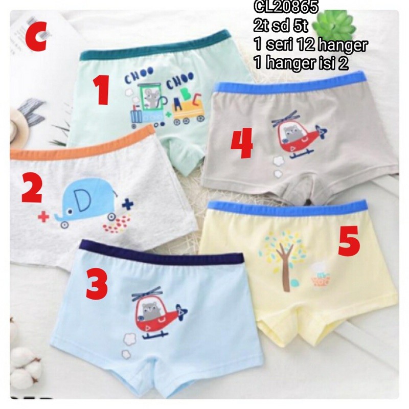 Catell Love Boxer BOY - GRUP 1 (1pcs/pack) / Boxer Anak Laki