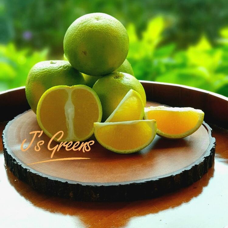 

Jeruk Jaffa Baby 1kg