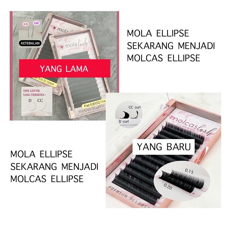 SUPER HALUS! MOLCAS LASH PREMIUM ELLIPSE BULUMATA EYELASH EXTENSION KOREA molalash