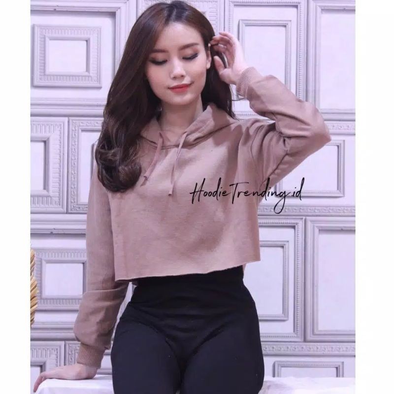 sweater Hoodie crop Kekinian Ajeng hoodie