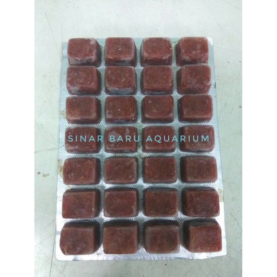 

Unik CACING BEKU FROZEN BLOODWORM 100 gr Murah